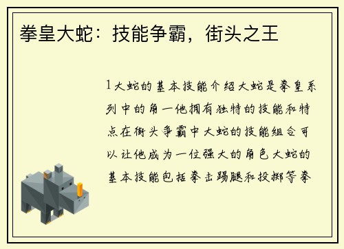 拳皇大蛇：技能争霸，街头之王